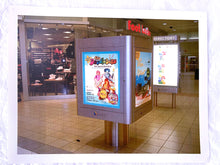 Load image into Gallery viewer, 2005 Mall Tour Photographs
